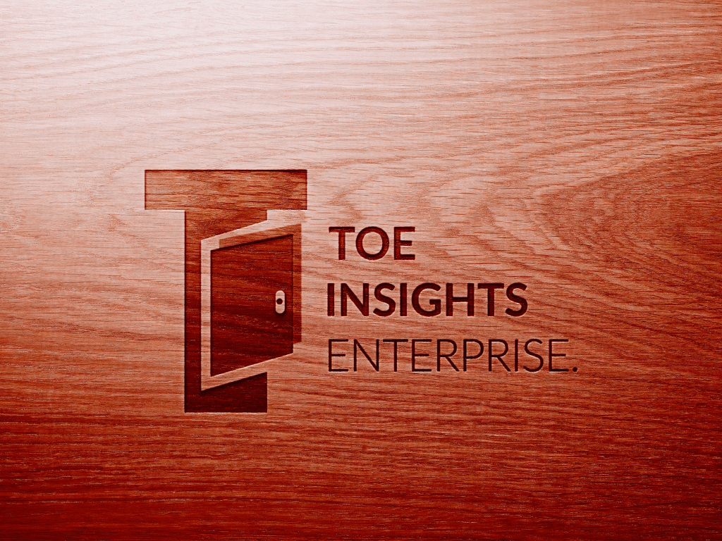 TOE Insights presentation image 3