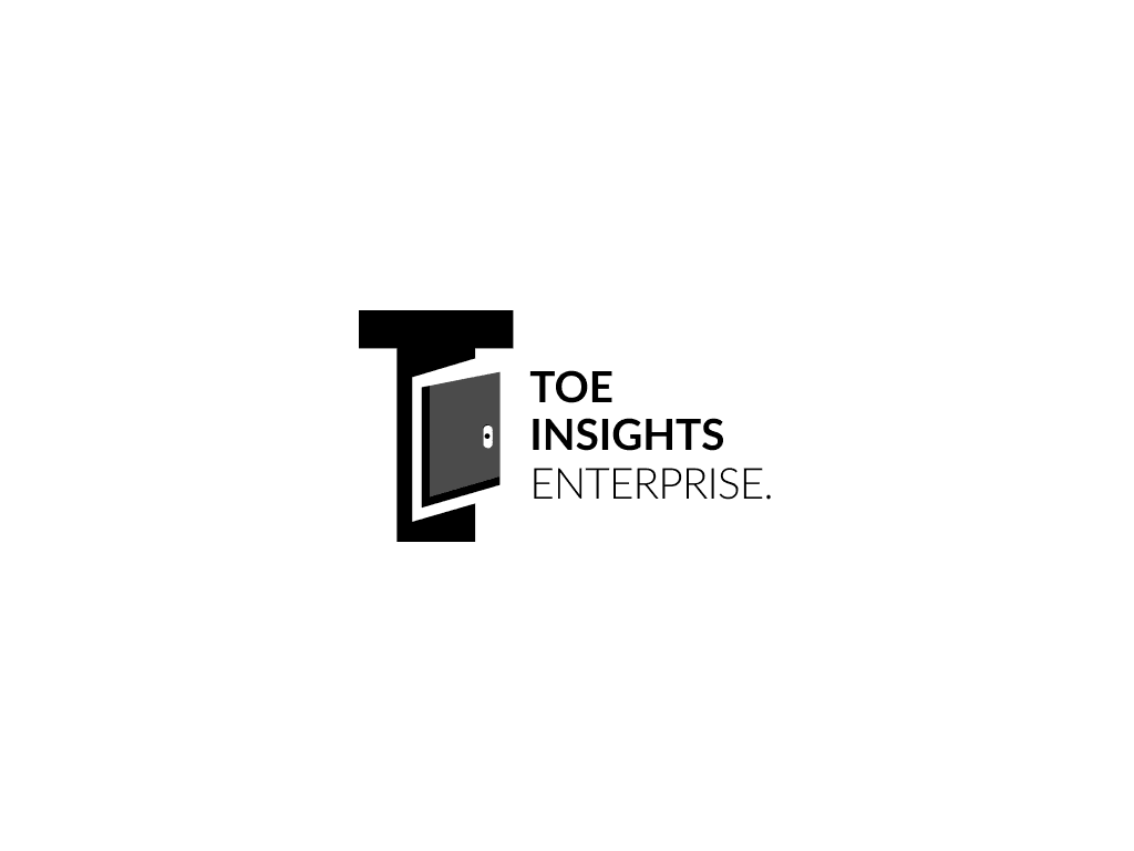 TOE Insights presentation image 2